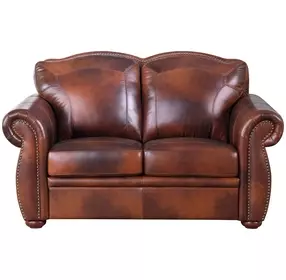 Ardentia Marco Leather 66" Loveseat with Nailhead Trim