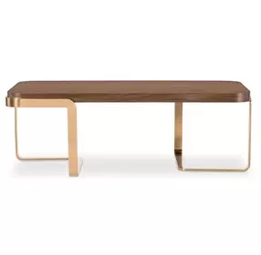 Solara Medium Brown and Gold Rectangular Cocktail Table
