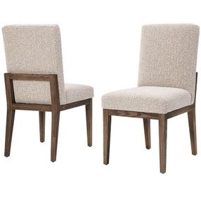 Dovetail Aged Gray Performance Fabric Side Chair
