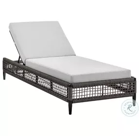 Felicia Light Gray Outdoor Patio Adjustable Chaise Lounge