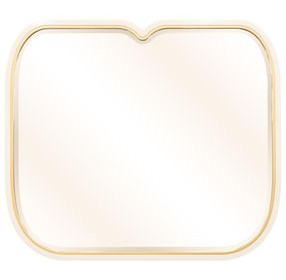 Scotts Square Light Champagne Rectangular Wall Mirror