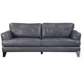 Thierry Burnish Gray Sofa