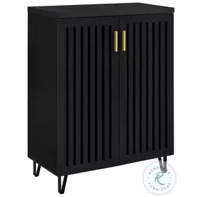 Brixton Black 2 Door Shoe Storage Cabinet