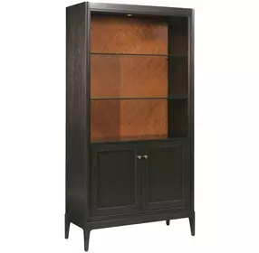 Hidden Treasures Victor Dark Stain 2 Door Bookcase Cabinet with LED
