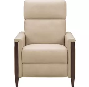 Alice Cashmere Stone Leather Zero Gravity Power Recliner with Power Headrest and USB Charging