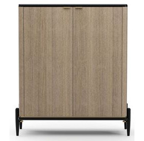 Madera Chocolate Koto Matte and Modern Walnut 2 Door Accent Chest
