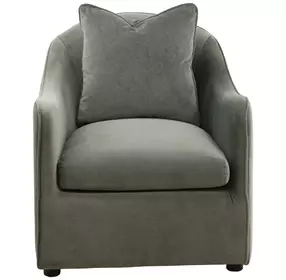 Elissa Opal Eucalyptus Upholstered Occasional Chair with Pillow