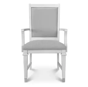 Point Breeze Gray Performance Fabric Upholstered Arm Chair Set of 2