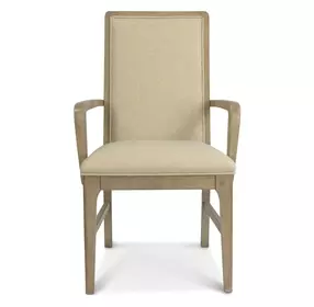 Rio Vista Gray Performance Fabric Upholstered Arm Chair Set of 2