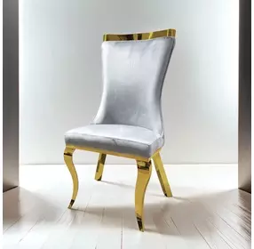 Basilicata Gray Upholstered Side Chair Set of 2
