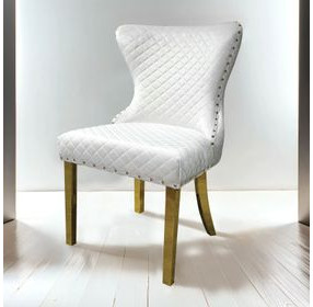 Portanova White and Gold Side Chair Set of 2