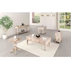 Chesapeake Light White Wash Rectangular Occasional Table