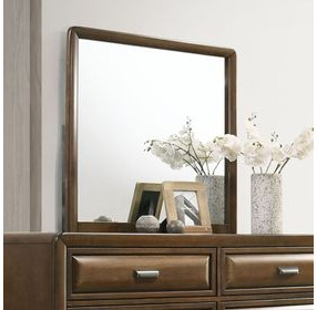 Caerwys Brown Rectangular Dresser Mirror