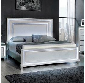 Galea Bed