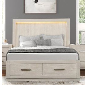 Wellingborough Light Gray Queen Storage Platform Bed with LED Light