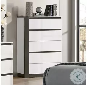 Birsfelden White And Metallic Gray Chest