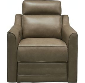 Lara Silk Elephant Leather Dual Power Recliner with Power Tilt Headrest and USB Charging