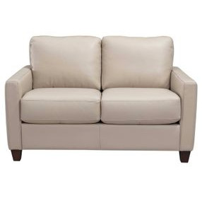 Millbrook Taupe Plain Leather 60" Loveseat