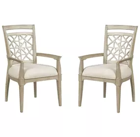 Clearview Oyster Performance Fabric Upholstered Essex Arm Chair Set of 2