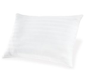 Zephyr 2.0 White Accent Pillow Set of 2