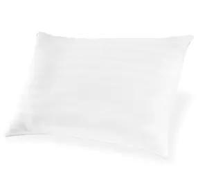 Zephyr 2.0 White Accent Pillow Set of 2