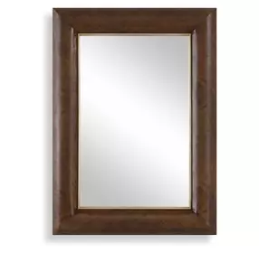 Arlington Antique Walnut and Gold Rectangular Wall Mirror