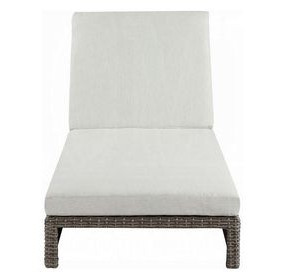 Salena Beige Upholstered Outdoor Lounge Chair
