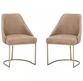 Parissa Ivanhoe Toast Dining Chair Set of 2