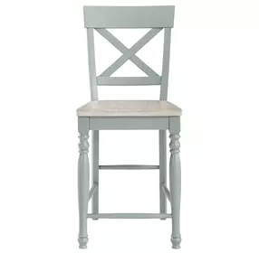 Darcy Green and Brown Counter Height Chair Set of 2