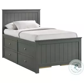 Santino Grey Twin Storage Panel Bed