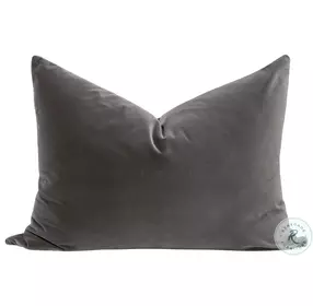 The Basic Dark Dove Velvet 34" Pillow Set Of 2