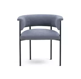 Taylor Blue Performance Chenille Upholstered Dining Chair