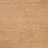 Cream Brown