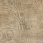 Vineyard Oak