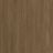 Almond 