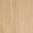 Teak