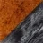 Brown Gray