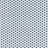 White Navy