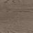 Grayish Brown