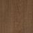 Medium Brown