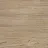 Sandstone