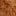Camel Brown