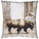 Northstreet II Brown Bison Decorative Pillow Cover
