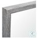 Bristol Gray 26" x 32" Vanity Mirror