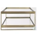 Trey Glass And Gold Metal Rectangular Coffee Table