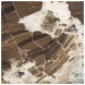 Jovia Cappuccino Marble And Brown Mango Wood Round Coffee Table