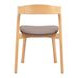 Pioro Brown Upholstered Dining Chair Set of 2