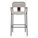 Couva Gray Upholstered Bar Stool Set of 2