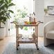 Selena Blue And White Bar Cart