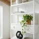 Lark White Bookshelf